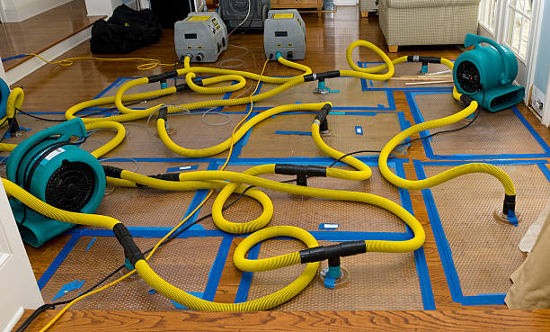 Professional Burst Pipe Water Damage technician working in Hammond, LA